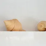 Lägenhet Conca *