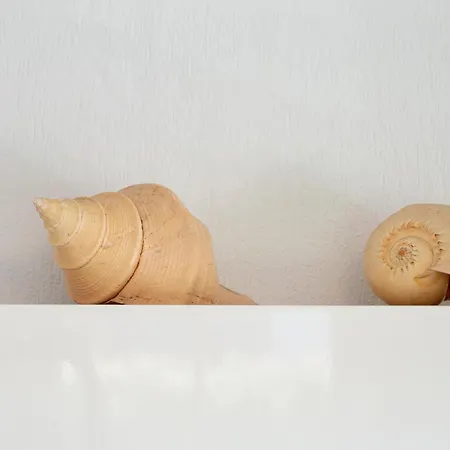 Apartment Conca *